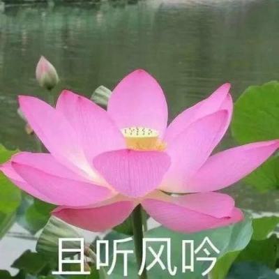 《学习习近平生态文明思想问答》在京首发